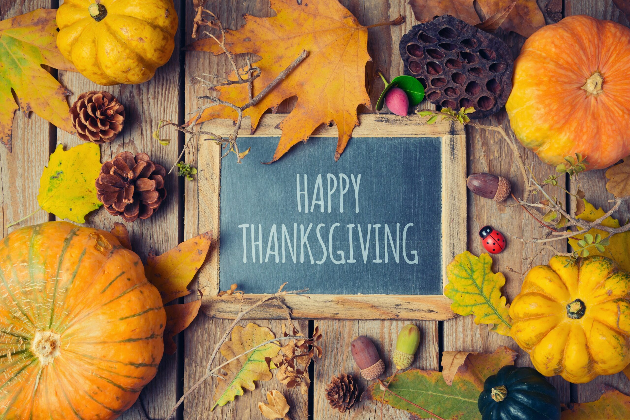 Thanksgiving 