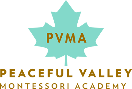 Peaceful Valley Montessori Academy